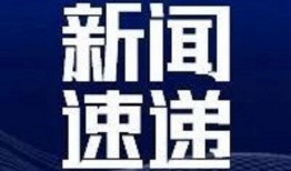 九星最新爆料新闻,最新爆料新闻背后的惊人真相